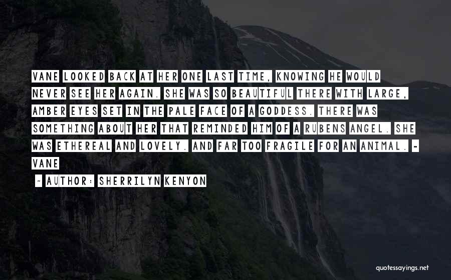 Sherrilyn Kenyon Quotes: Vane Looked Back At Her One Last Time, Knowing He Would Never See Her Again. She Was So Beautiful There