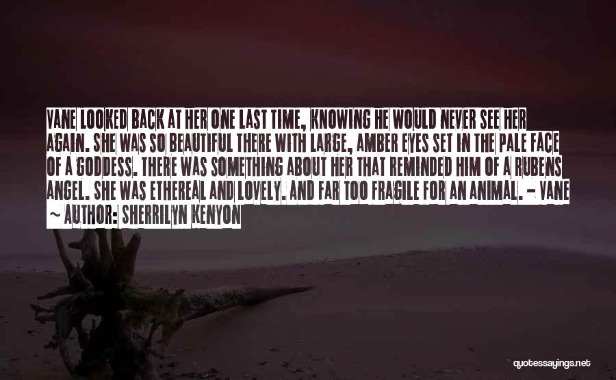Sherrilyn Kenyon Quotes: Vane Looked Back At Her One Last Time, Knowing He Would Never See Her Again. She Was So Beautiful There