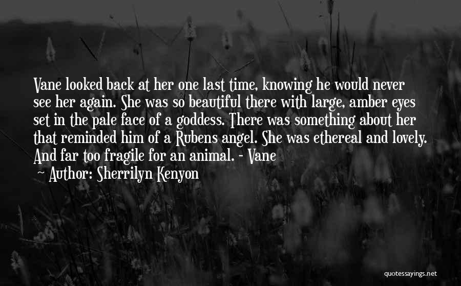 Sherrilyn Kenyon Quotes: Vane Looked Back At Her One Last Time, Knowing He Would Never See Her Again. She Was So Beautiful There