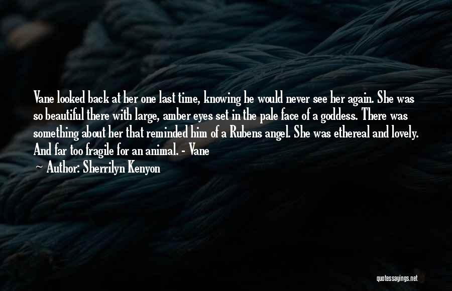 Sherrilyn Kenyon Quotes: Vane Looked Back At Her One Last Time, Knowing He Would Never See Her Again. She Was So Beautiful There