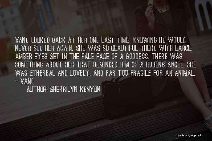 Sherrilyn Kenyon Quotes: Vane Looked Back At Her One Last Time, Knowing He Would Never See Her Again. She Was So Beautiful There