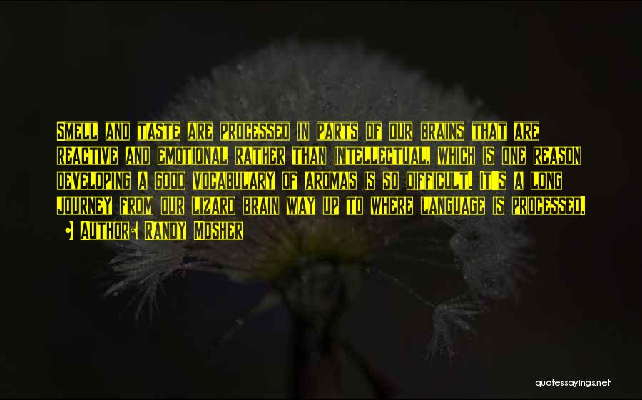 Randy Mosher Quotes: Smell And Taste Are Processed In Parts Of Our Brains That Are Reactive And Emotional Rather Than Intellectual, Which Is
