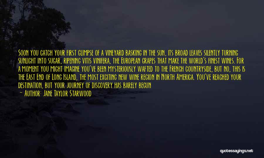 Jane Taylor Starwood Quotes: Soon You Catch Your First Glimpse Of A Vineyard Basking In The Sun, Its Broad Leaves Silently Turning Sunlight Into