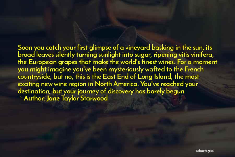 Jane Taylor Starwood Quotes: Soon You Catch Your First Glimpse Of A Vineyard Basking In The Sun, Its Broad Leaves Silently Turning Sunlight Into