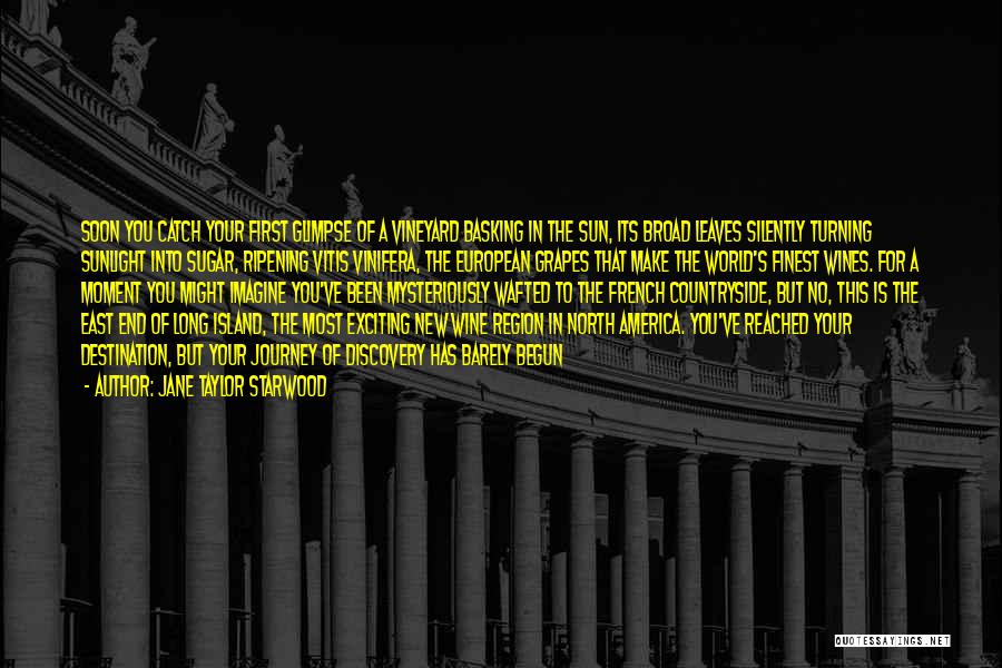 Jane Taylor Starwood Quotes: Soon You Catch Your First Glimpse Of A Vineyard Basking In The Sun, Its Broad Leaves Silently Turning Sunlight Into