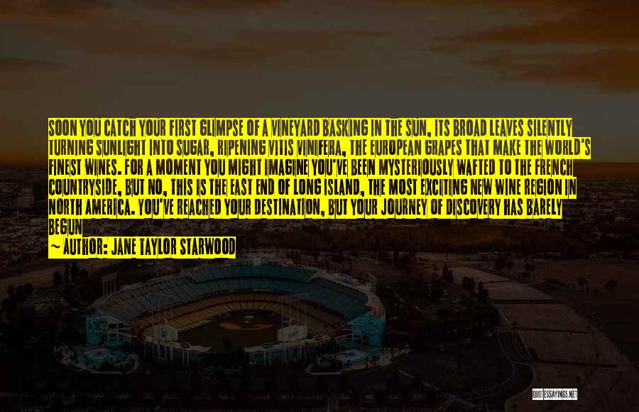 Jane Taylor Starwood Quotes: Soon You Catch Your First Glimpse Of A Vineyard Basking In The Sun, Its Broad Leaves Silently Turning Sunlight Into