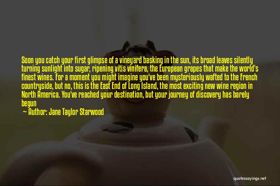 Jane Taylor Starwood Quotes: Soon You Catch Your First Glimpse Of A Vineyard Basking In The Sun, Its Broad Leaves Silently Turning Sunlight Into