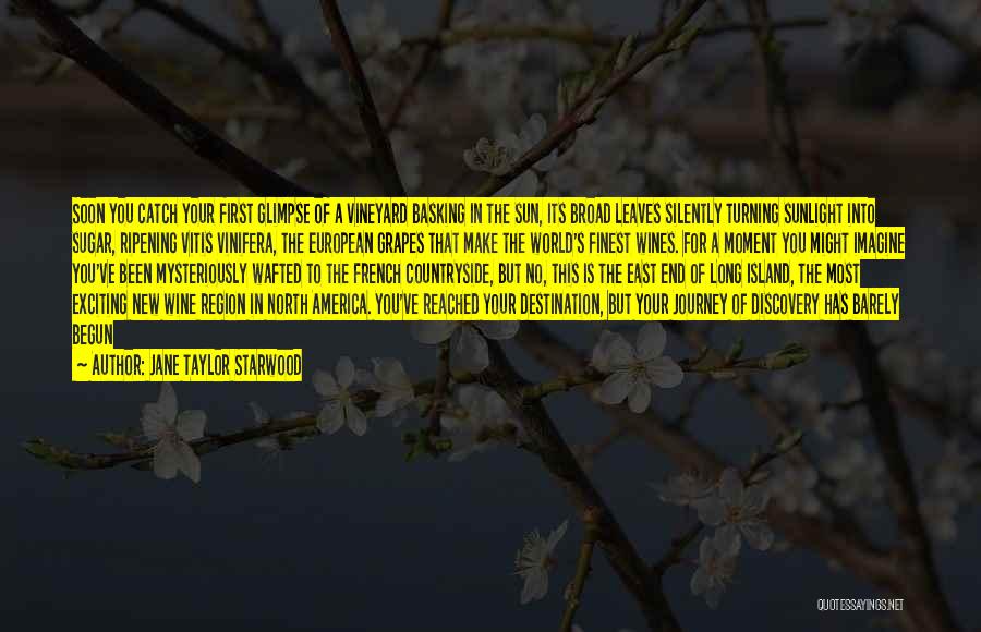 Jane Taylor Starwood Quotes: Soon You Catch Your First Glimpse Of A Vineyard Basking In The Sun, Its Broad Leaves Silently Turning Sunlight Into