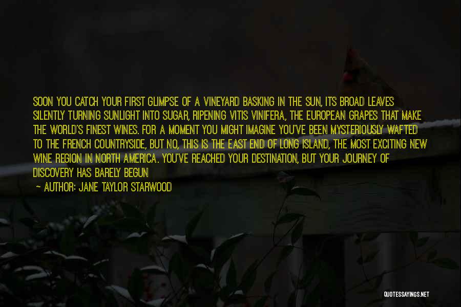 Jane Taylor Starwood Quotes: Soon You Catch Your First Glimpse Of A Vineyard Basking In The Sun, Its Broad Leaves Silently Turning Sunlight Into