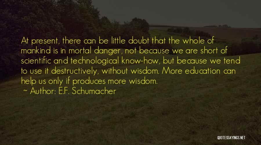 E.F. Schumacher Quotes: At Present, There Can Be Little Doubt That The Whole Of Mankind Is In Mortal Danger, Not Because We Are
