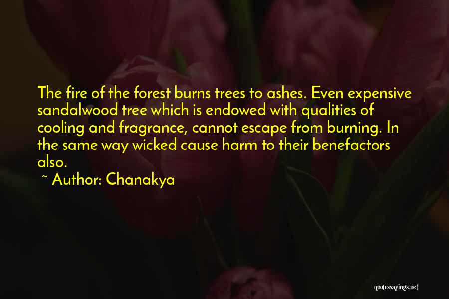 Chanakya Quotes: The Fire Of The Forest Burns Trees To Ashes. Even Expensive Sandalwood Tree Which Is Endowed With Qualities Of Cooling