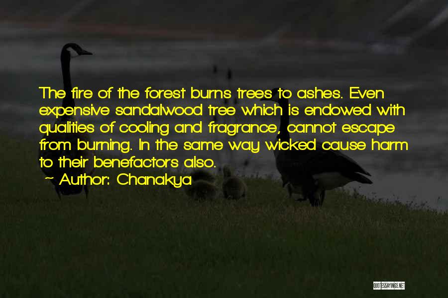 Chanakya Quotes: The Fire Of The Forest Burns Trees To Ashes. Even Expensive Sandalwood Tree Which Is Endowed With Qualities Of Cooling