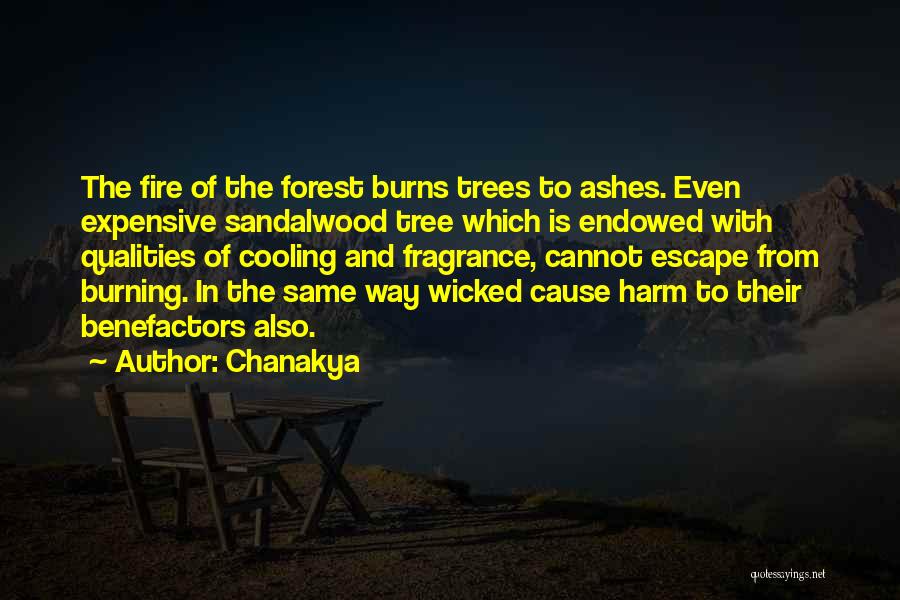 Chanakya Quotes: The Fire Of The Forest Burns Trees To Ashes. Even Expensive Sandalwood Tree Which Is Endowed With Qualities Of Cooling