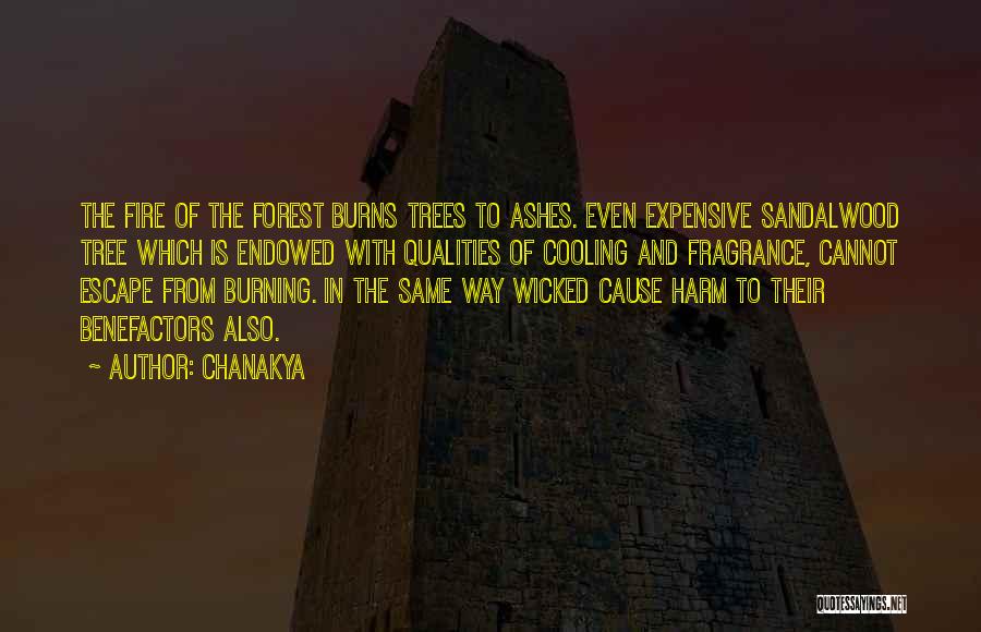 Chanakya Quotes: The Fire Of The Forest Burns Trees To Ashes. Even Expensive Sandalwood Tree Which Is Endowed With Qualities Of Cooling