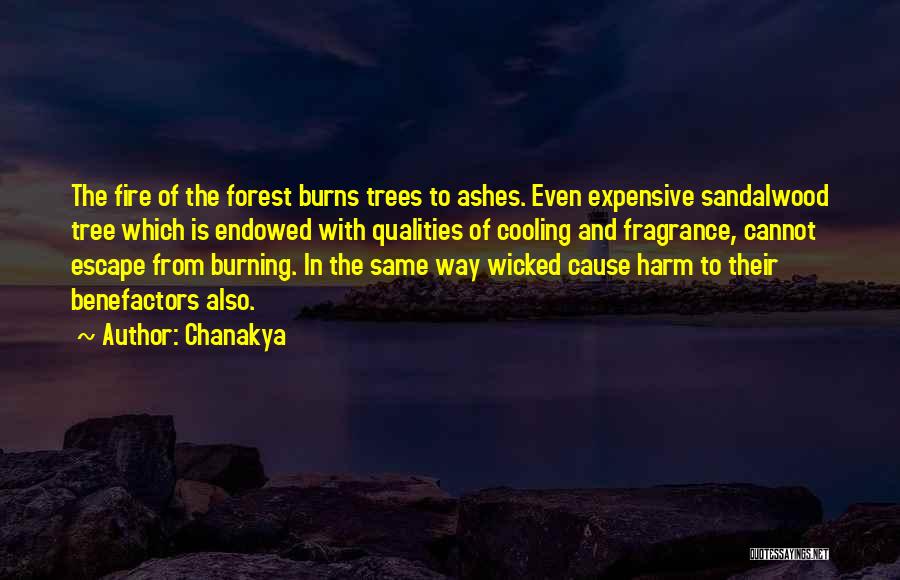 Chanakya Quotes: The Fire Of The Forest Burns Trees To Ashes. Even Expensive Sandalwood Tree Which Is Endowed With Qualities Of Cooling