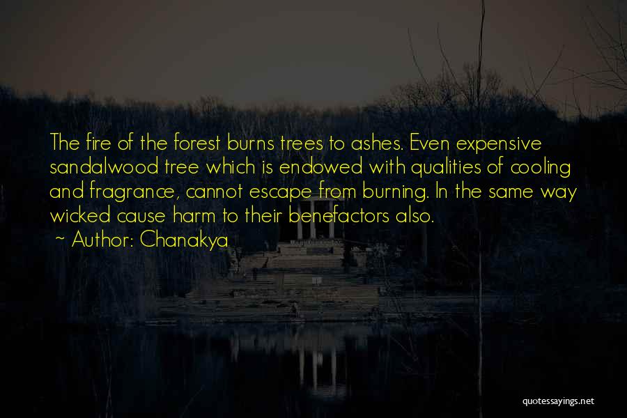 Chanakya Quotes: The Fire Of The Forest Burns Trees To Ashes. Even Expensive Sandalwood Tree Which Is Endowed With Qualities Of Cooling