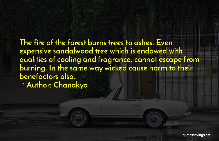 Chanakya Quotes: The Fire Of The Forest Burns Trees To Ashes. Even Expensive Sandalwood Tree Which Is Endowed With Qualities Of Cooling