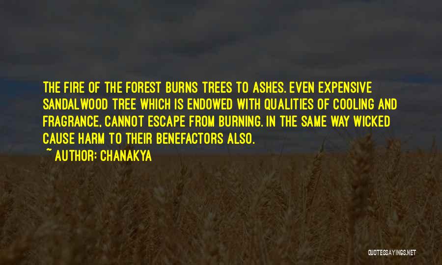 Chanakya Quotes: The Fire Of The Forest Burns Trees To Ashes. Even Expensive Sandalwood Tree Which Is Endowed With Qualities Of Cooling