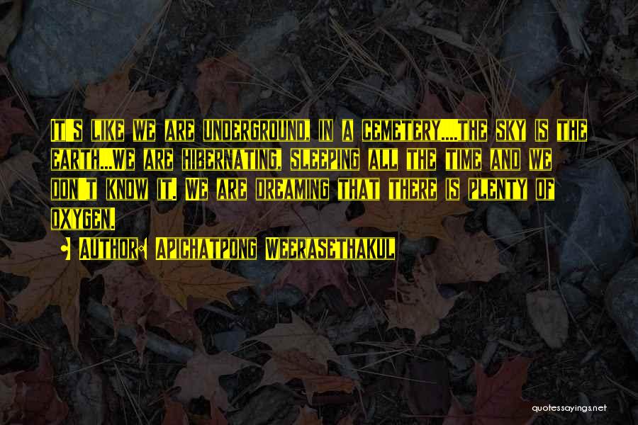 Apichatpong Weerasethakul Quotes: It's Like We Are Underground, In A Cemetery....the Sky Is The Earth...we Are Hibernating, Sleeping All The Time And We