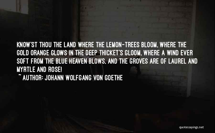 Johann Wolfgang Von Goethe Quotes: Know'st Thou The Land Where The Lemon-trees Bloom, Where The Gold Orange Glows In The Deep Thicket's Gloom, Where A
