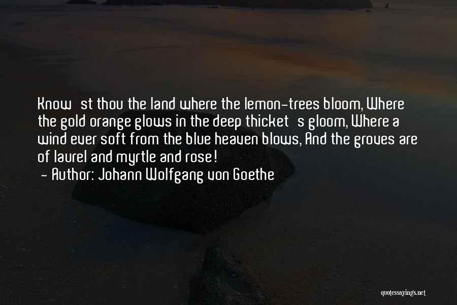 Johann Wolfgang Von Goethe Quotes: Know'st Thou The Land Where The Lemon-trees Bloom, Where The Gold Orange Glows In The Deep Thicket's Gloom, Where A