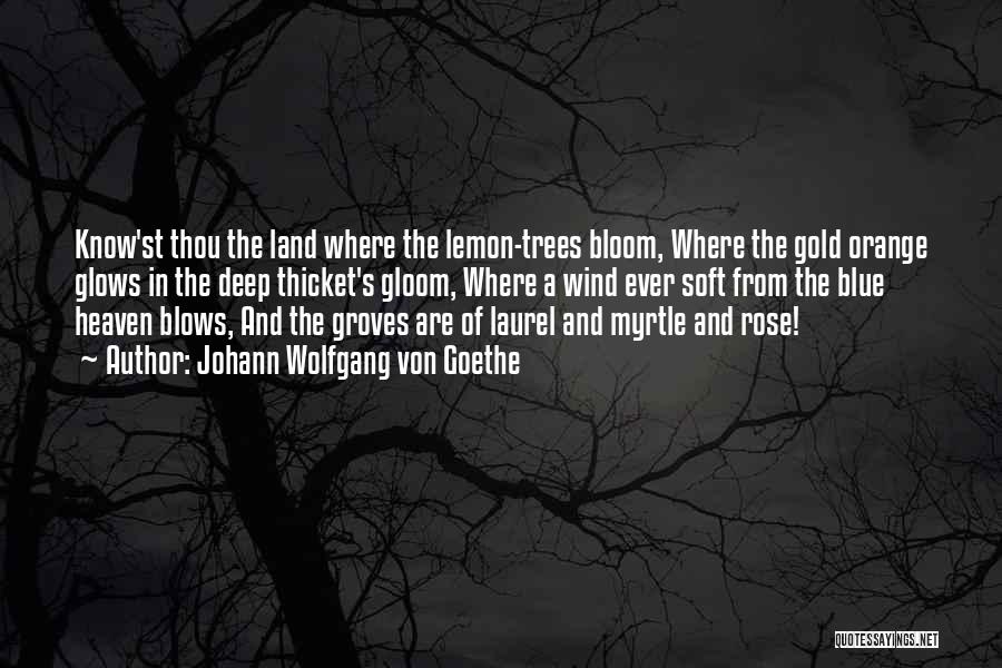 Johann Wolfgang Von Goethe Quotes: Know'st Thou The Land Where The Lemon-trees Bloom, Where The Gold Orange Glows In The Deep Thicket's Gloom, Where A