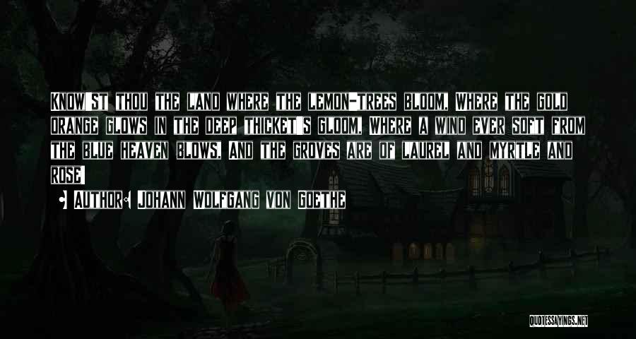 Johann Wolfgang Von Goethe Quotes: Know'st Thou The Land Where The Lemon-trees Bloom, Where The Gold Orange Glows In The Deep Thicket's Gloom, Where A