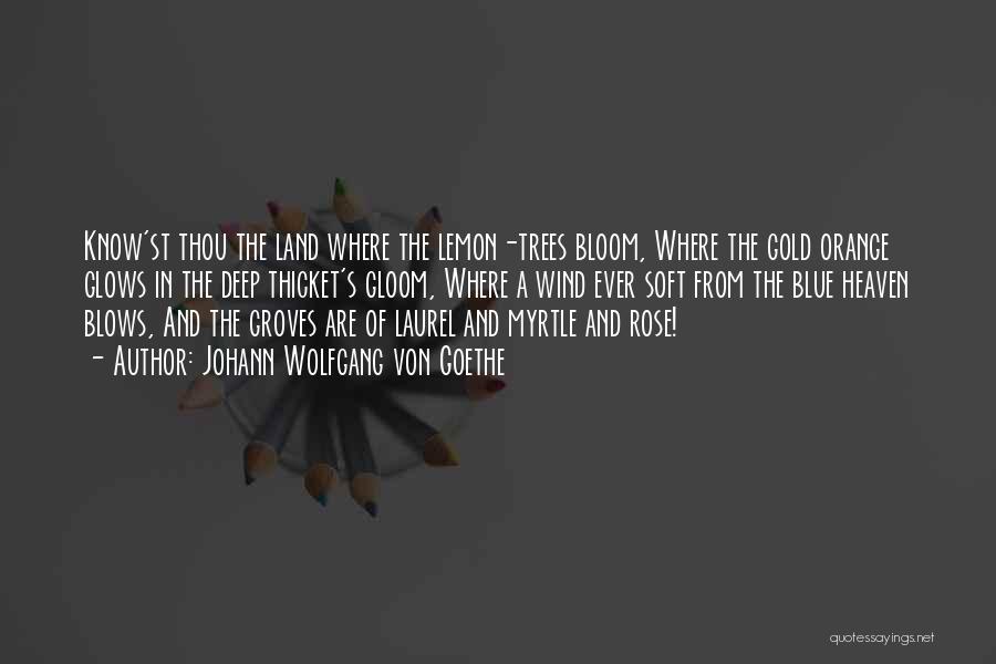 Johann Wolfgang Von Goethe Quotes: Know'st Thou The Land Where The Lemon-trees Bloom, Where The Gold Orange Glows In The Deep Thicket's Gloom, Where A