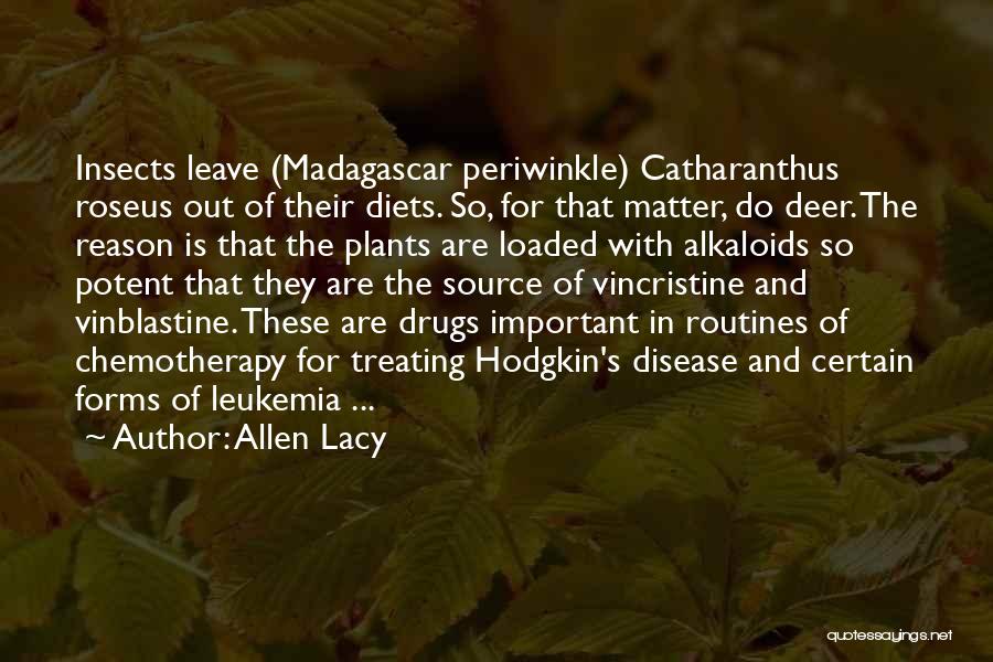 Allen Lacy Quotes: Insects Leave (madagascar Periwinkle) Catharanthus Roseus Out Of Their Diets. So, For That Matter, Do Deer. The Reason Is That