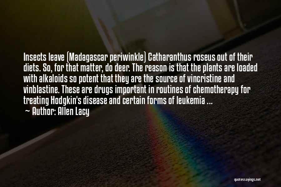 Allen Lacy Quotes: Insects Leave (madagascar Periwinkle) Catharanthus Roseus Out Of Their Diets. So, For That Matter, Do Deer. The Reason Is That