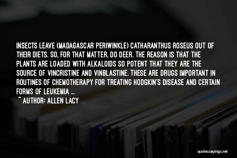 Allen Lacy Quotes: Insects Leave (madagascar Periwinkle) Catharanthus Roseus Out Of Their Diets. So, For That Matter, Do Deer. The Reason Is That