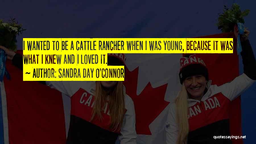 Sandra Day O'Connor Quotes: I Wanted To Be A Cattle Rancher When I Was Young, Because It Was What I Knew And I Loved