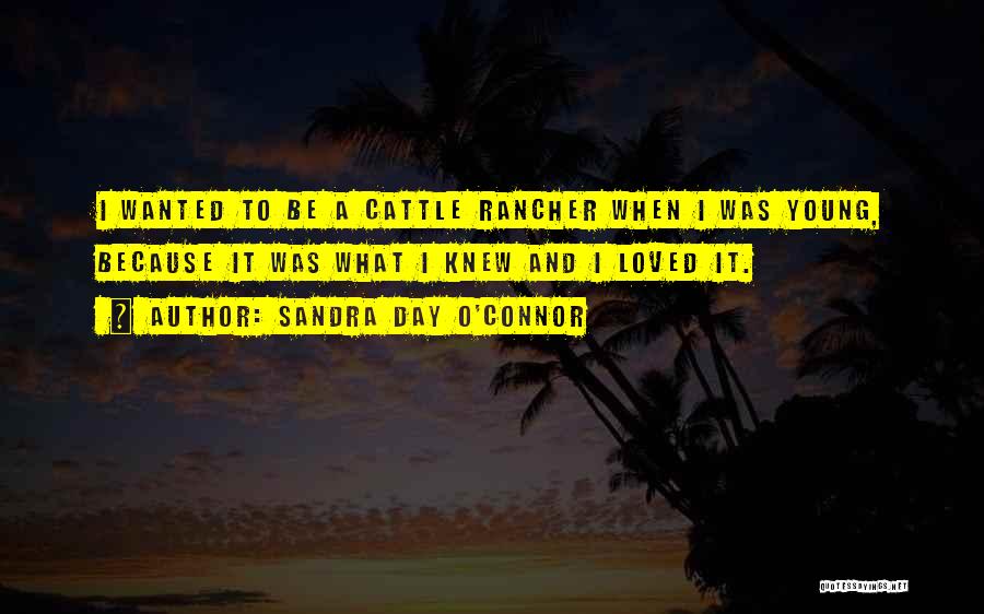 Sandra Day O'Connor Quotes: I Wanted To Be A Cattle Rancher When I Was Young, Because It Was What I Knew And I Loved