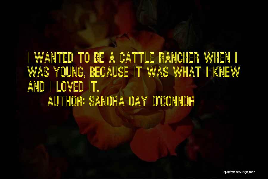 Sandra Day O'Connor Quotes: I Wanted To Be A Cattle Rancher When I Was Young, Because It Was What I Knew And I Loved