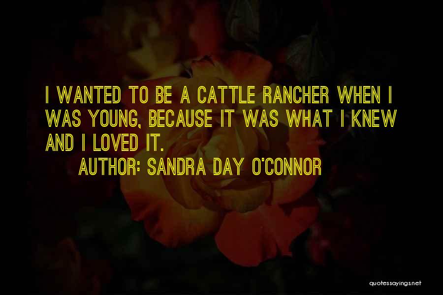 Sandra Day O'Connor Quotes: I Wanted To Be A Cattle Rancher When I Was Young, Because It Was What I Knew And I Loved
