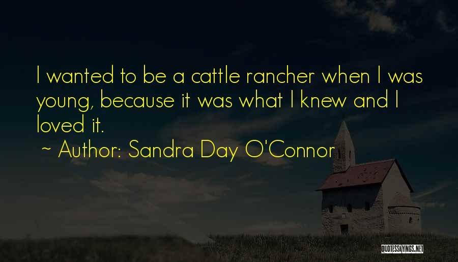 Sandra Day O'Connor Quotes: I Wanted To Be A Cattle Rancher When I Was Young, Because It Was What I Knew And I Loved