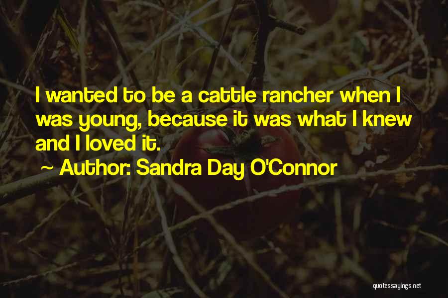 Sandra Day O'Connor Quotes: I Wanted To Be A Cattle Rancher When I Was Young, Because It Was What I Knew And I Loved