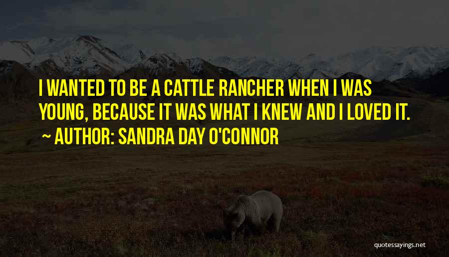 Sandra Day O'Connor Quotes: I Wanted To Be A Cattle Rancher When I Was Young, Because It Was What I Knew And I Loved