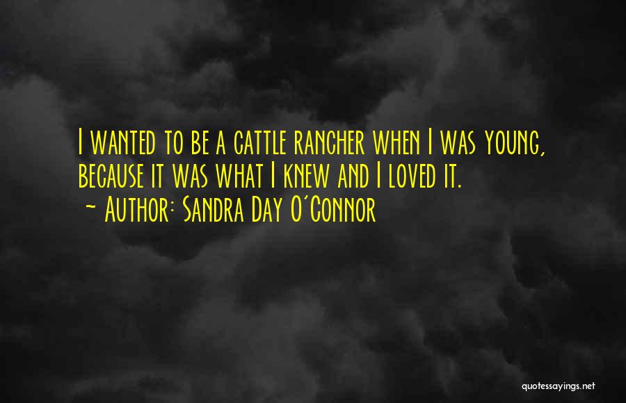 Sandra Day O'Connor Quotes: I Wanted To Be A Cattle Rancher When I Was Young, Because It Was What I Knew And I Loved