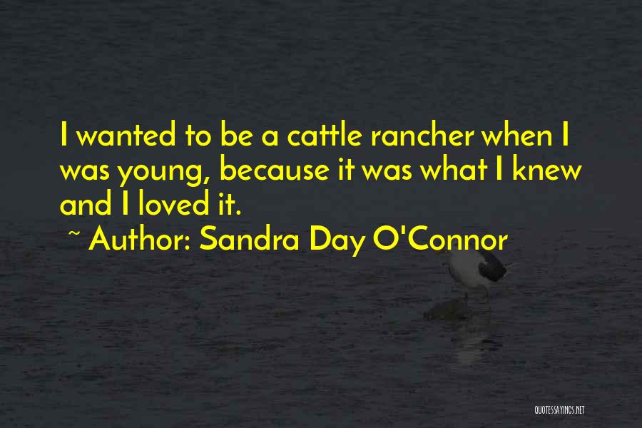 Sandra Day O'Connor Quotes: I Wanted To Be A Cattle Rancher When I Was Young, Because It Was What I Knew And I Loved