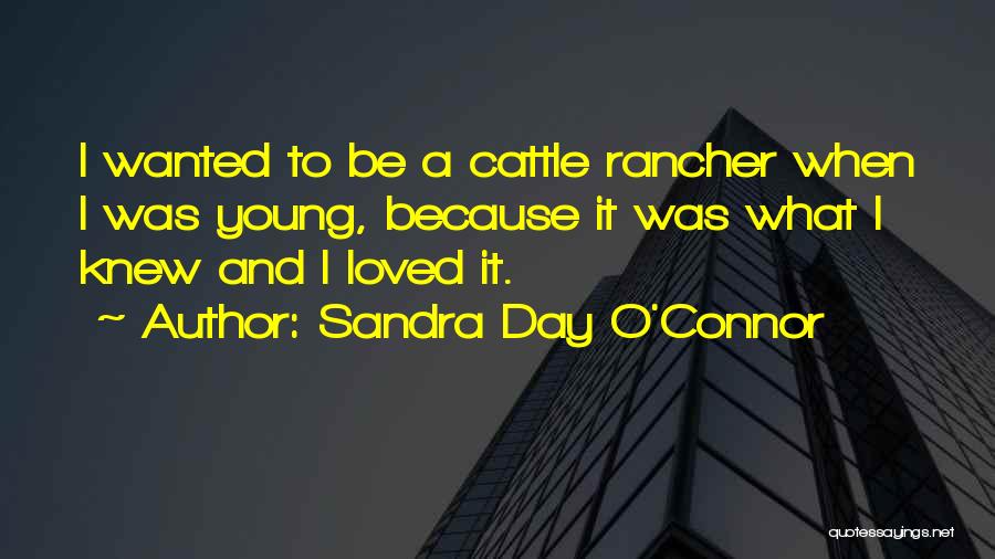 Sandra Day O'Connor Quotes: I Wanted To Be A Cattle Rancher When I Was Young, Because It Was What I Knew And I Loved