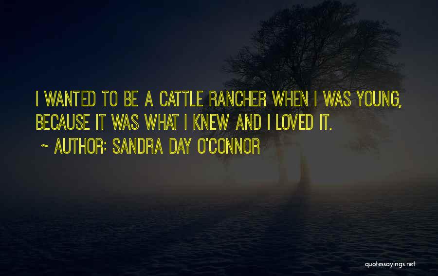 Sandra Day O'Connor Quotes: I Wanted To Be A Cattle Rancher When I Was Young, Because It Was What I Knew And I Loved