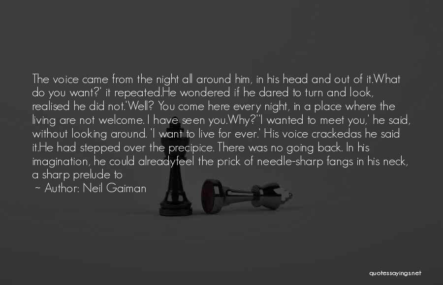 Neil Gaiman Quotes: The Voice Came From The Night All Around Him, In His Head And Out Of It.what Do You Want?' It