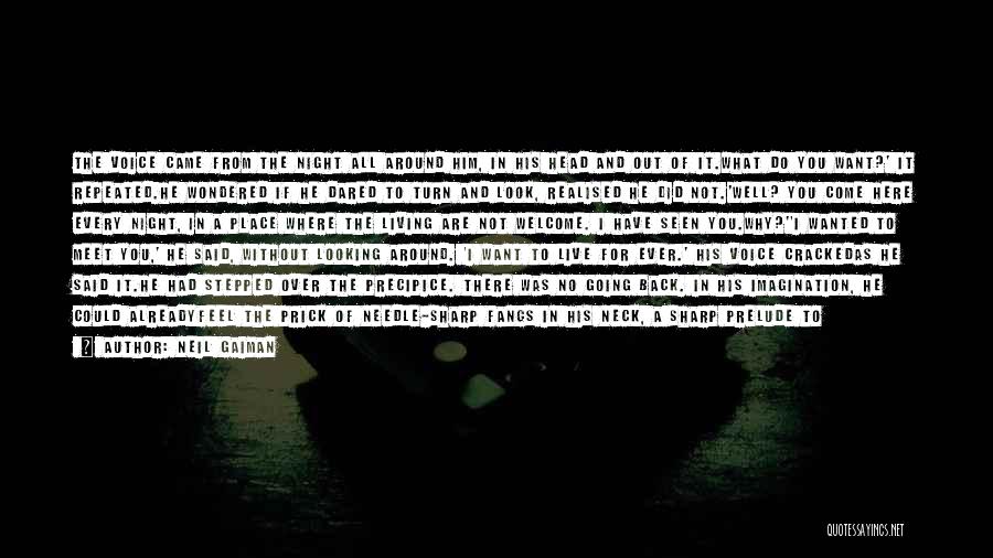 Neil Gaiman Quotes: The Voice Came From The Night All Around Him, In His Head And Out Of It.what Do You Want?' It