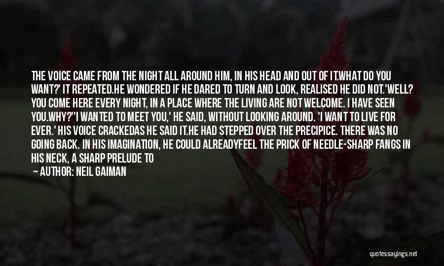 Neil Gaiman Quotes: The Voice Came From The Night All Around Him, In His Head And Out Of It.what Do You Want?' It