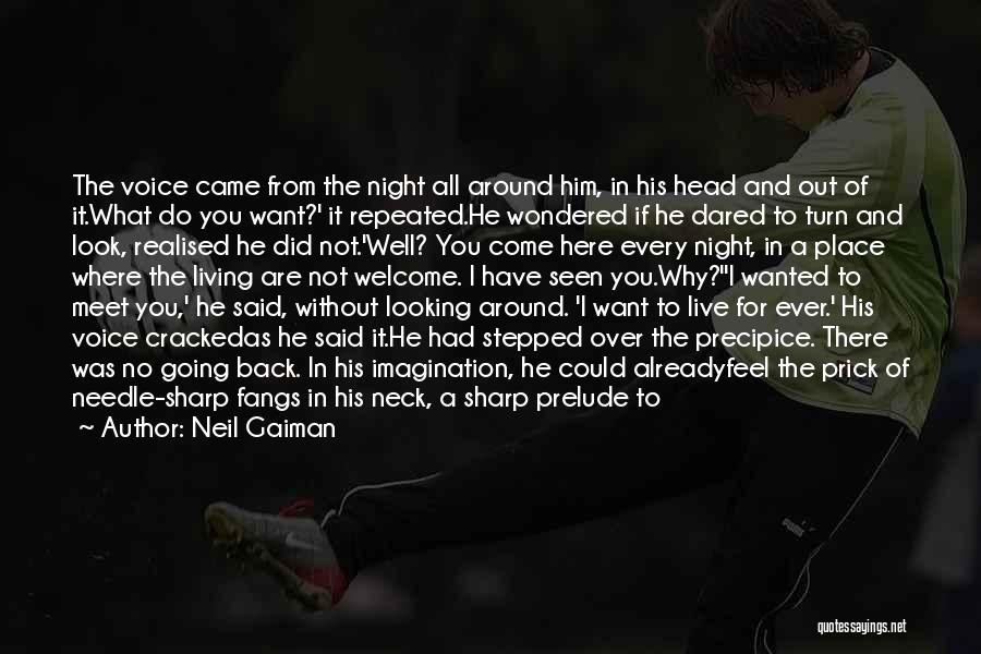Neil Gaiman Quotes: The Voice Came From The Night All Around Him, In His Head And Out Of It.what Do You Want?' It