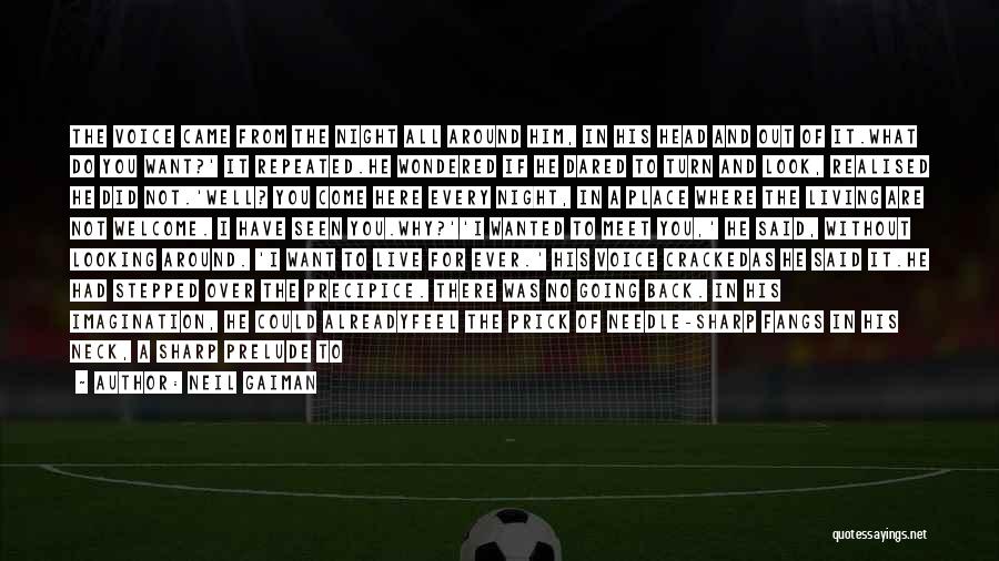 Neil Gaiman Quotes: The Voice Came From The Night All Around Him, In His Head And Out Of It.what Do You Want?' It