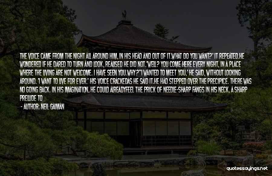 Neil Gaiman Quotes: The Voice Came From The Night All Around Him, In His Head And Out Of It.what Do You Want?' It