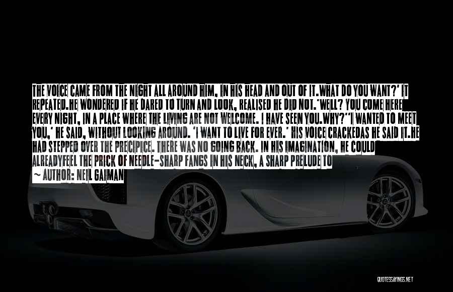 Neil Gaiman Quotes: The Voice Came From The Night All Around Him, In His Head And Out Of It.what Do You Want?' It