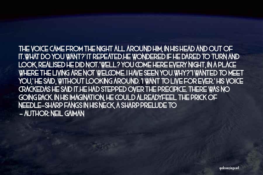 Neil Gaiman Quotes: The Voice Came From The Night All Around Him, In His Head And Out Of It.what Do You Want?' It